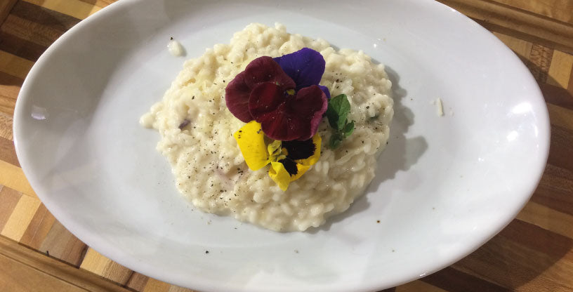 Reperso alla crema di piselli con bergamotto e violette.